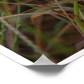 Gras Poster (Ecke)