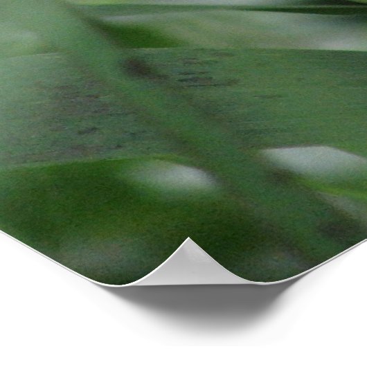Gras Poster (Ecke)