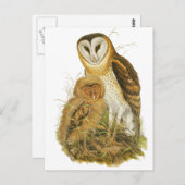 Gras Postkarte (Vorne/Hinten)