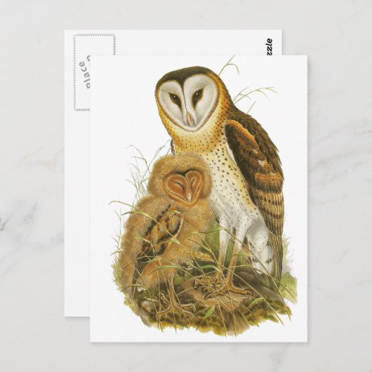 Gras Postkarte (Vorne/Hinten)