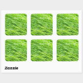 Gras Quadratischer Aufkleber (Blatt)