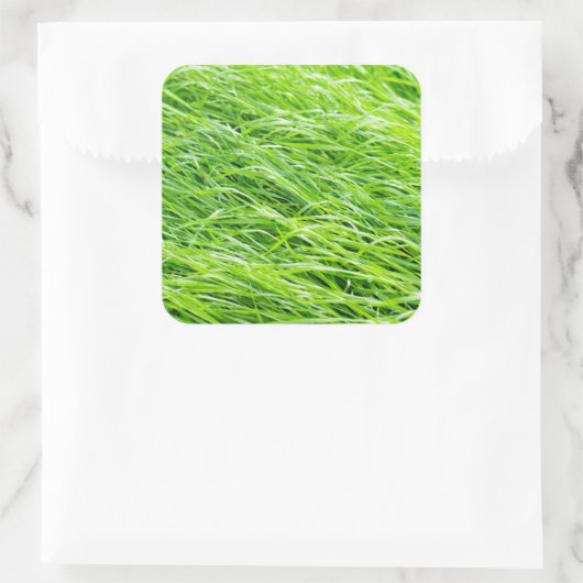 Gras Quadratischer Aufkleber (Tasche)