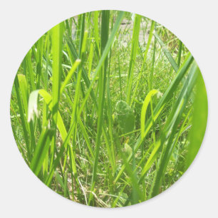 Gras Runder Aufkleber