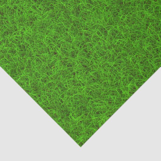 Gras Seidenpapier (Ausschnitt)