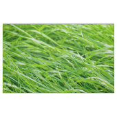 Gras Stoff (Fat Quarter (45,7 x 55,9 cm))