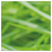 Gras Stoff (Nahaufnahme)