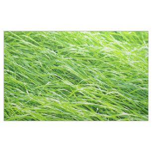 Gras Stoff