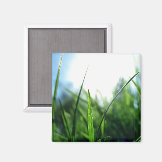 Gras und blauer Himmel Magnet (Vorderseite/Rückseite)