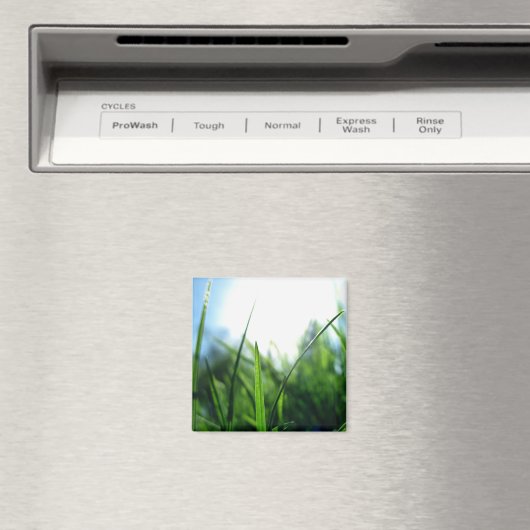 Gras und blauer Himmel Magnet (In Situ (Geschirrspüler))