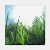 Gras und blauer Himmel Magnet (Vorne)