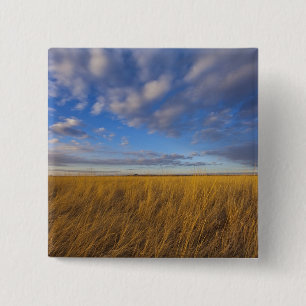 Gras und der dramatische Himmel am Freezeout-See Button