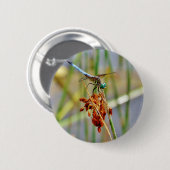 Gras und Dragonfly Button (Vorne & Hinten)