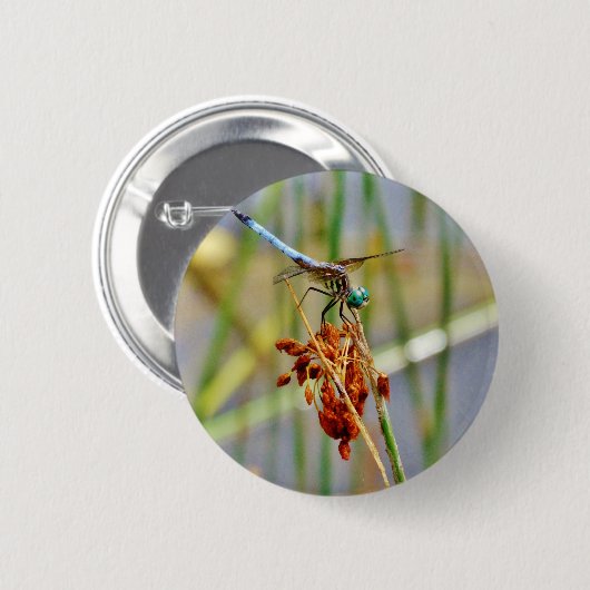 Gras und Dragonfly Button (Vorne & Hinten)