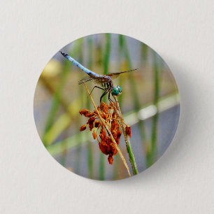 Gras und Dragonfly Button