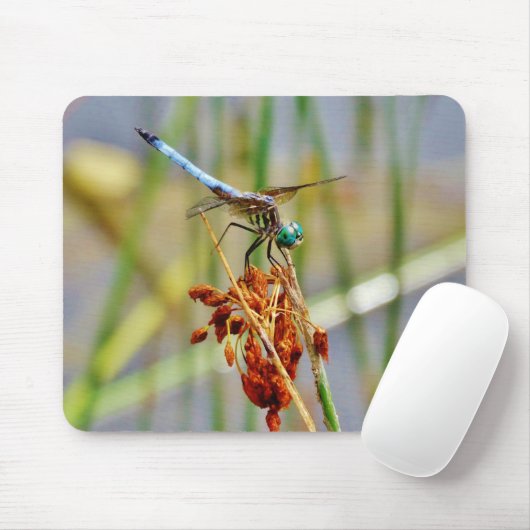 Gras und Dragonfly Mousepad (Mit Mouse)