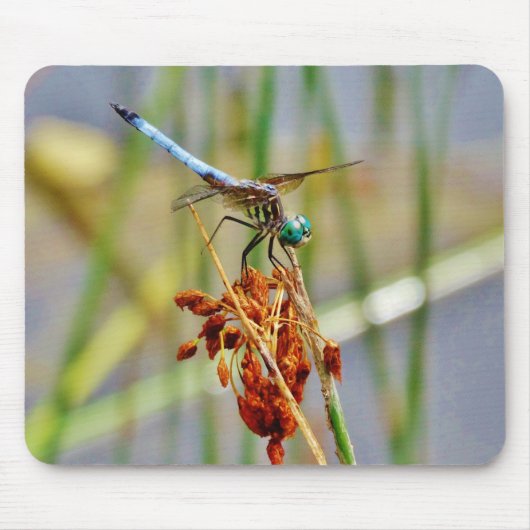 Gras und Dragonfly Mousepad (Vorne)