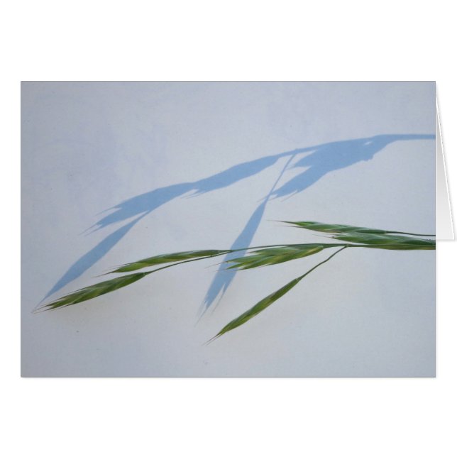 Gras und Schatten (Vorderseite (Horizontal))