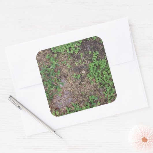 Gras- und Schmutzfleck Quadratischer Aufkleber (Umschlag)