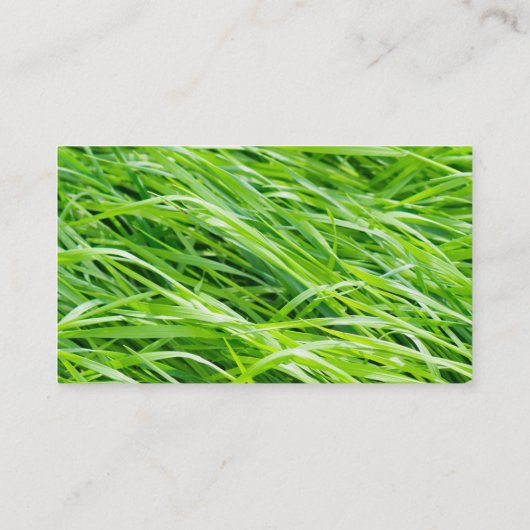Gras Visitenkarte (Rückseite)