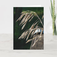 Gras wurde gesät