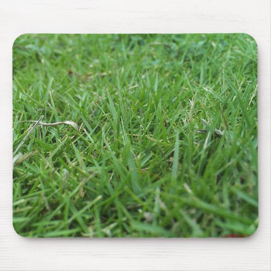 grasartige Mausunterlage Mousepad (Vorne)
