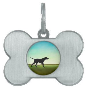 Grasartiger Feld-Zeiger-Hund Tiermarke