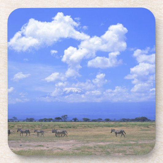 Grasartiges schlichtes untersetzer (Vorderseite)