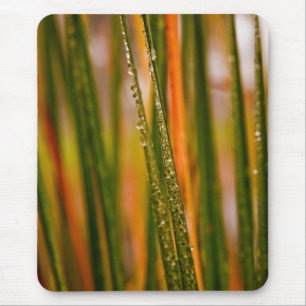 Grasblätter Mousepad