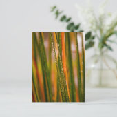 Grasblätter Postkarte (Stehend Vorderseite)