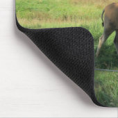 Grasende Antilope Mousepad (Ecke)