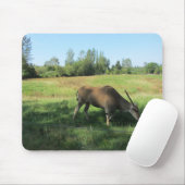Grasende Antilope Mousepad (Mit Mouse)