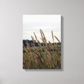 Gräser blasen im Wind Leinwanddruck (Vorderseite)
