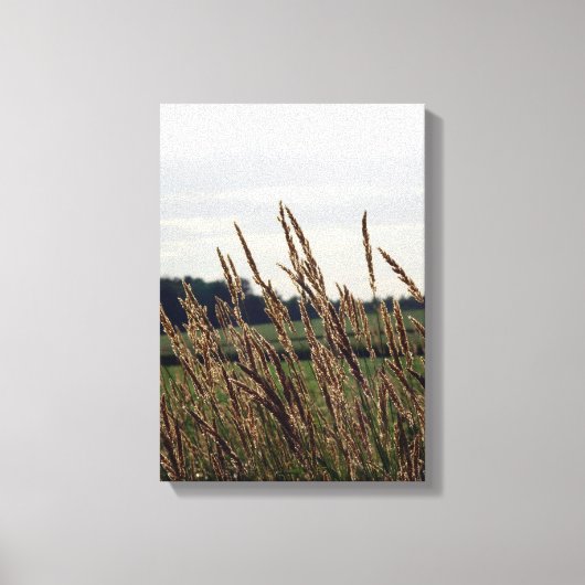 Gräser blasen im Wind Leinwanddruck (Vorderseite)