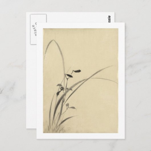 Gräser, Hokusai japanische Kunst Postkarte (Vorne/Hinten)