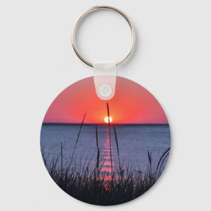 Gräser im Abendlicht - Insel Rügen Schlüsselanhänger