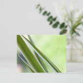Gräser Postkarte (Stehend Vorderseite)