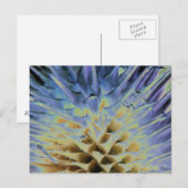 Grasexplosion Postkarte (Vorne/Hinten)