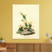 Grasfinch, Bachgeflügel oder Vesper-Sparrow Leinwanddruck (Insitu (Wohnzimmer))