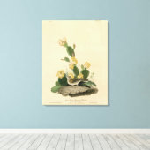 Grasfinch, Bachgeflügel oder Vesper-Sparrow Leinwanddruck (Insitu (Holzboden))