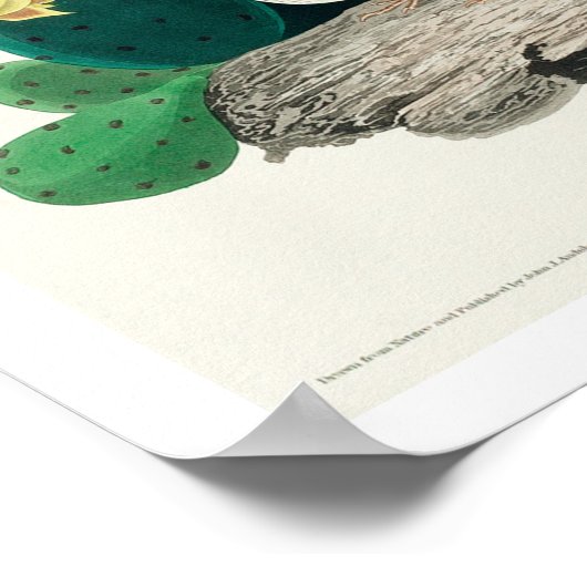 Grasfinch, oder von Audubon gejagt Poster (Ecke)