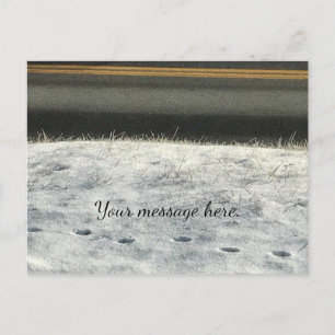 Grasfuß zum Schnee druckt Ihre Textpostkarten im W Postkarte
