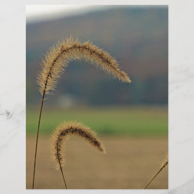 Grasfutter (Vorderseite)