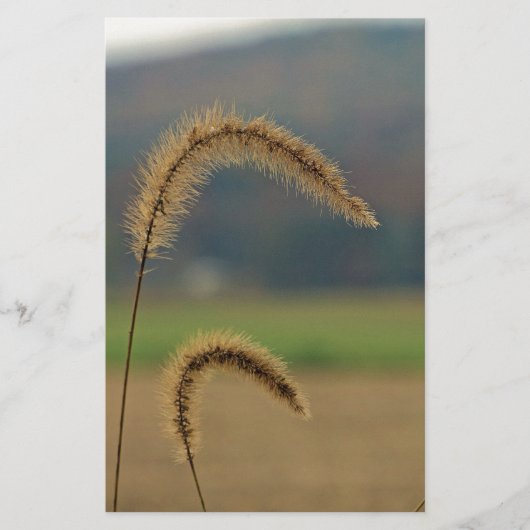 Grasfutter Briefpapier (Vorderseite)