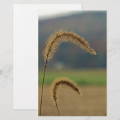 Grasfutter Briefpapier (Vorne/Hinten)