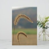 Grasfutter Briefpapier (Stehend Vorderseite)