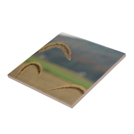 Grasfutter Fliese (Seite)