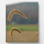 Grasfutter Fotoplatte (Vorderseite)