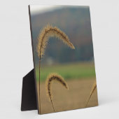 Grasfutter Fotoplatte (Seite)