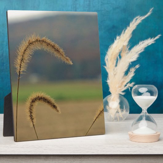 Grasfutter Fotoplatte (Seite)