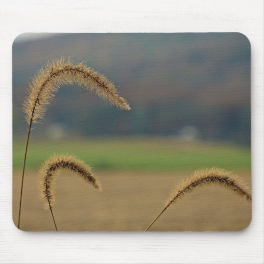 Grasfutter Mousepad (Vorne)